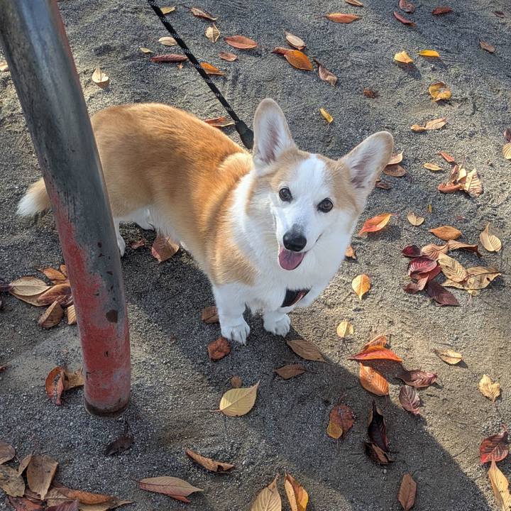 D17f0e05 184f 4253 b5b0 4dd9f3fa5142 1763348502219