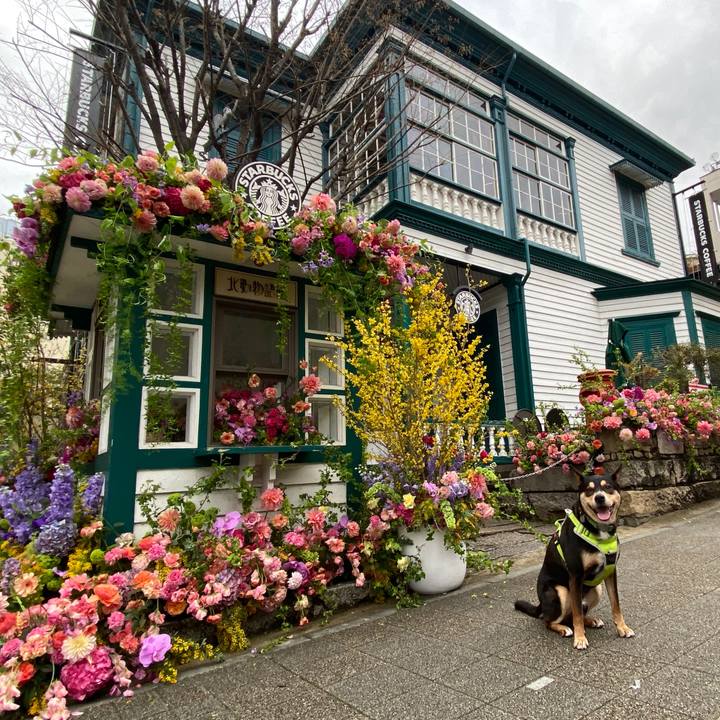 D17f2451 8c61 4f9f 9439 17409221c530 1648355339045