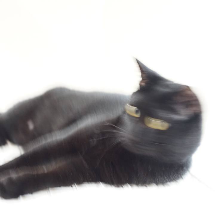 D17f83ee 7d03 41c9 a94b 3204baf31bb6 1527636786320