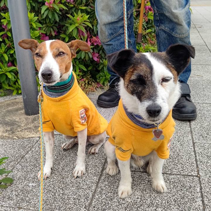 D17fa846 b5bd 44dc bd93 51d34812b25c 1715471972898