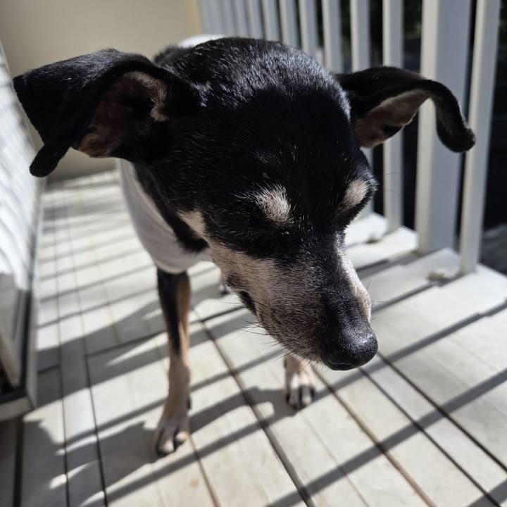 D17fdfc9 f0b7 4cd7 be9d c4d8cb586929 1771649786448