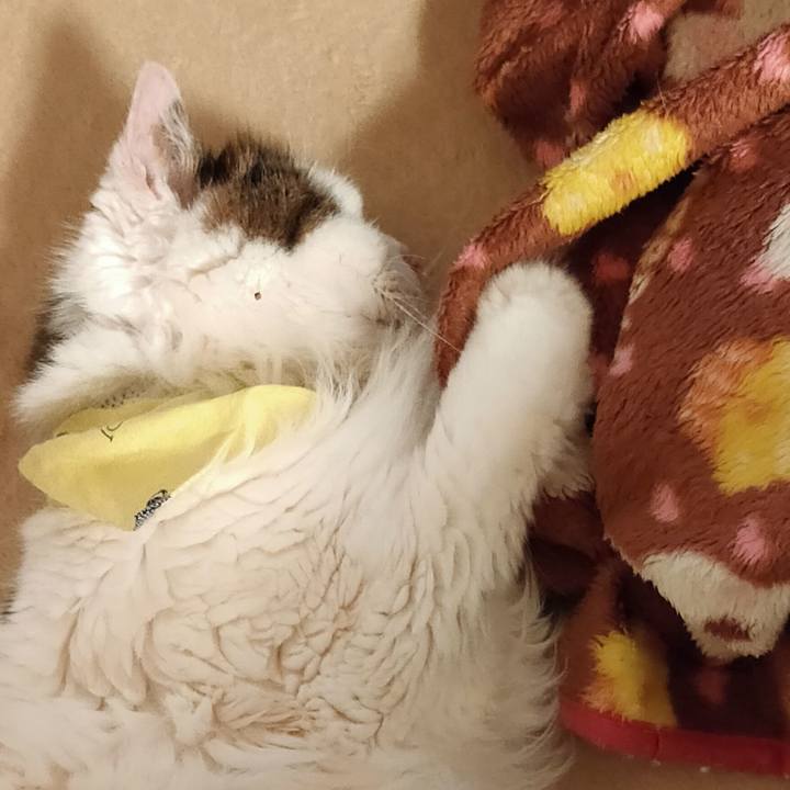 D1801a79 f7f4 43f3 895a 7bad502bc373 1583040308719