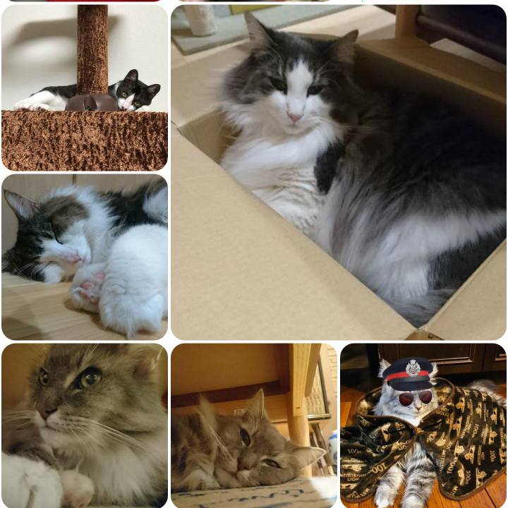 D1801cee 564c 4c7a 93a0 90d0a842b2b5 1568543661963