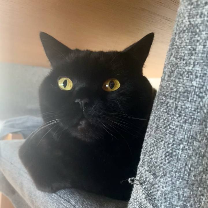 D180235a 4ef7 406e 8c9d cd7289e3bbc6 1765085487940