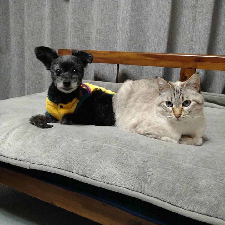 D180494b 4203 47f4 9fd7 682c0b66304d 1702397353671