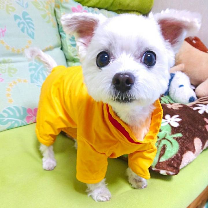 D1805ad6 0de3 4df1 90ee 10de9f727ba5 1508127916899