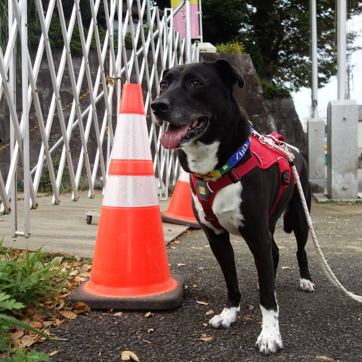 D18067cc f036 46e4 b9fc baf2d3dbec8c 1666398339011