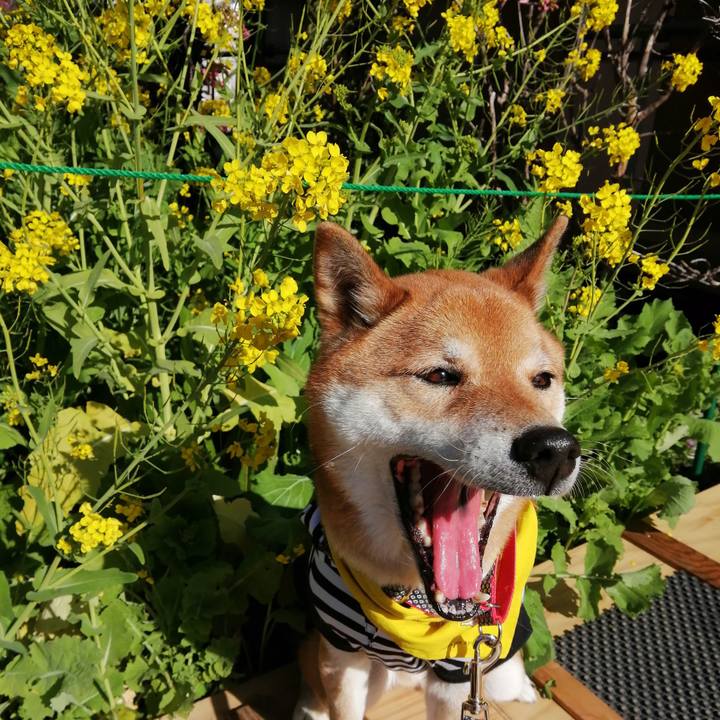 D180ec94 6cca 4afe bd16 650f547b6e7e 1581163866438