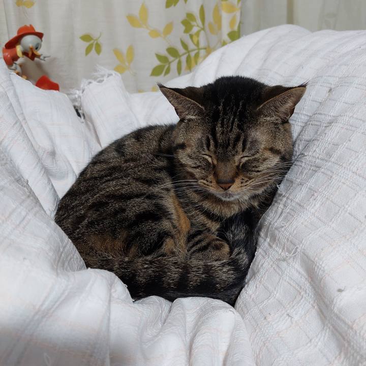 D1811df7 0478 4669 9bc6 698e51a5a278 1641036486559