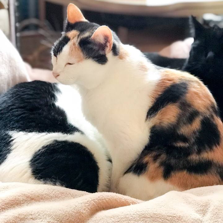 D181323f 7143 419c 9084 40a1873a9059 1513415753963