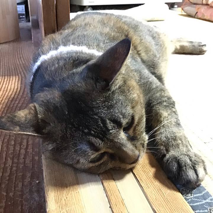 D1813854 ad11 41ba 9114 c951a21319e5 1751983064527