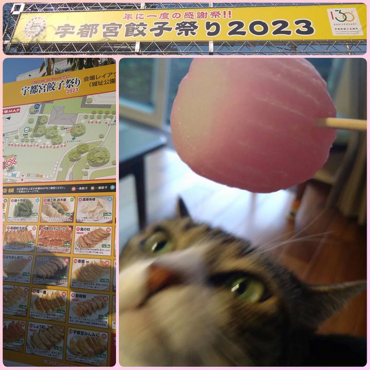D181647a 4e81 438b 8c2a fa3ad05dc8ca 1699002915843