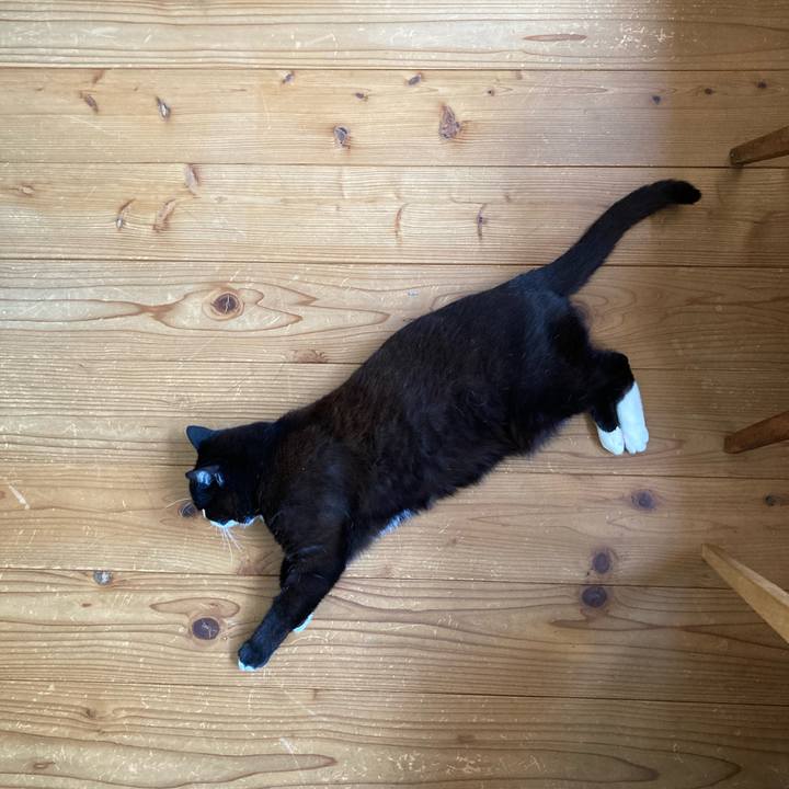 D181a0ba 399e 4046 a842 2245109687c2 1621258615395