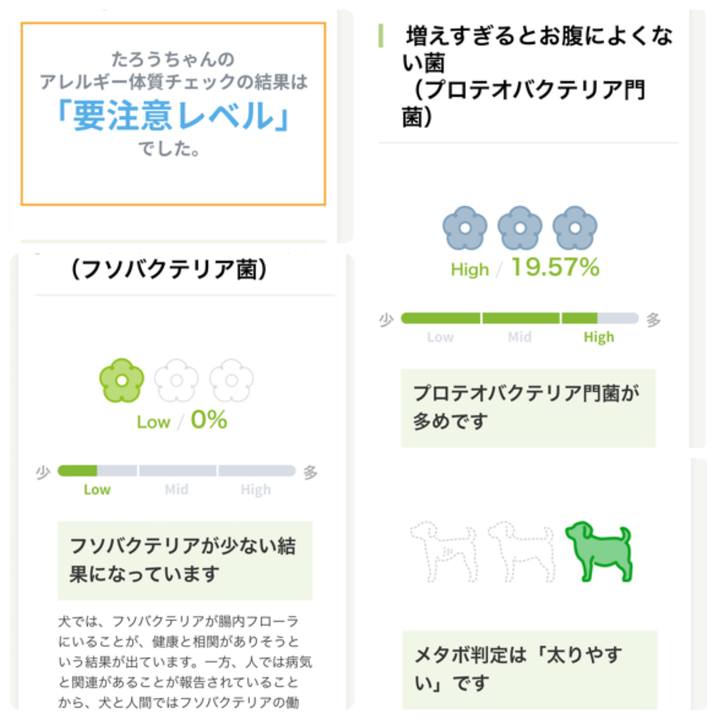 D181b4e6 00b3 40d3 b6ff 358adf292222 1636807674301