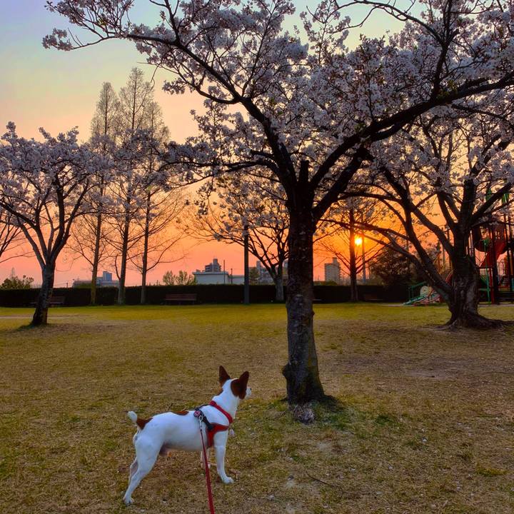 D181d5bc ca6a 42f5 aace 5f1aeadfe27f 1586351065452