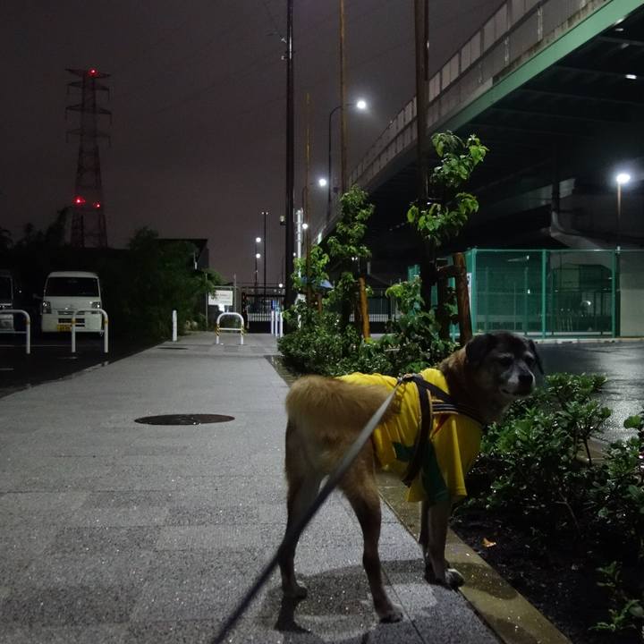 D181f176 057f 49b3 8aea 3fcc2ca8bef2 1537534072218