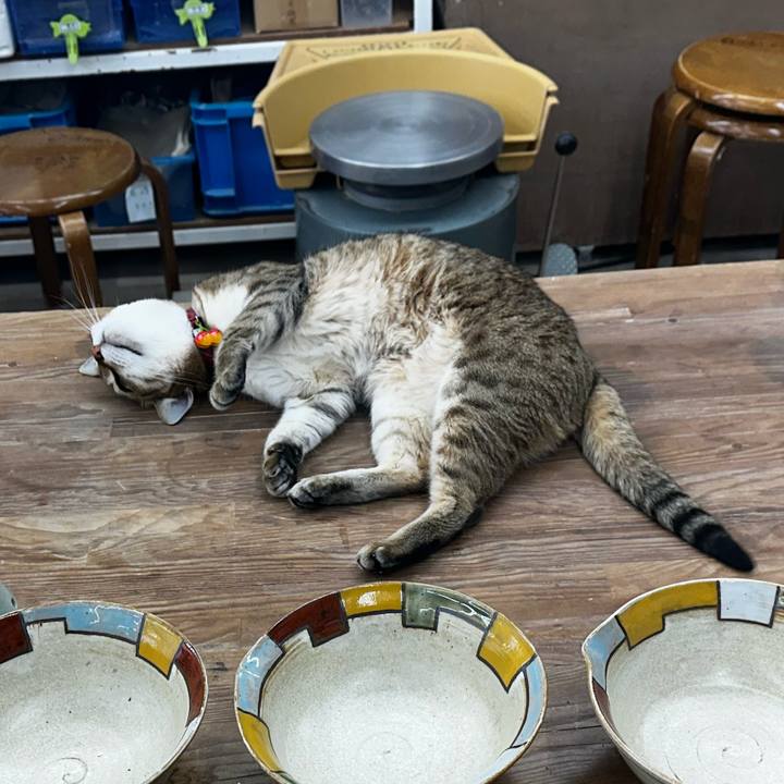 D18215e2 cce1 48c3 8aaa 97c64deedb36 1774138936051