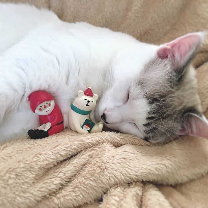 D1823a69 ebe8 4e83 a4a8 f704a01ce57c 1545629231383