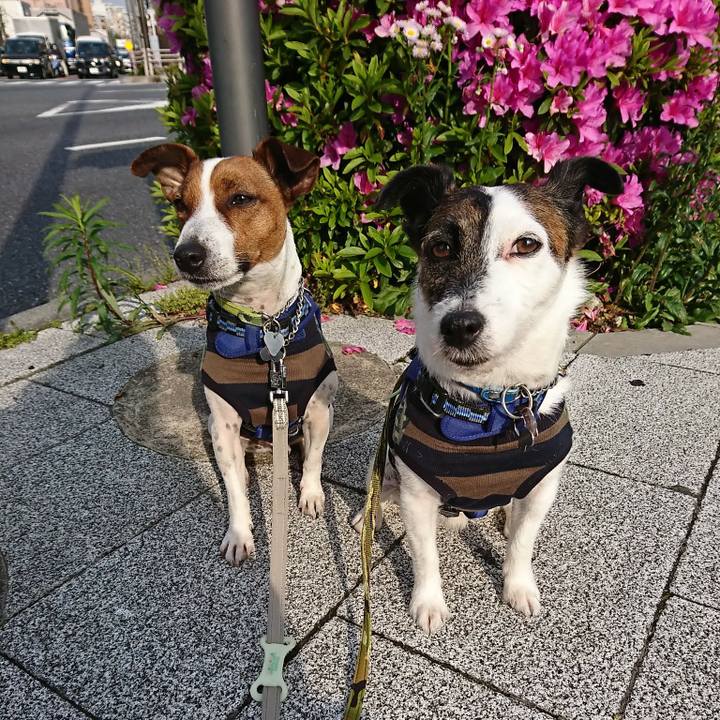 D18241bf 9d69 48c2 bf8a 56867b194b69 1588285060471