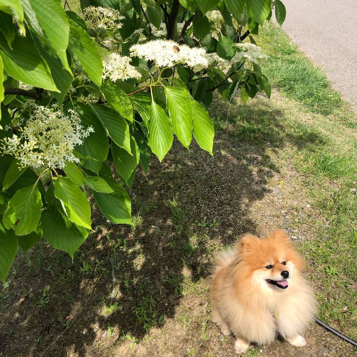 D1825b52 63c3 43cd 8504 5f1d9249b575 1557021499416