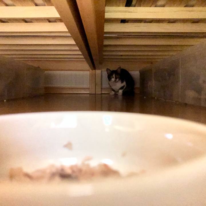 D1827c81 c1a5 473d 942d 0f9b584dc9f1 1557519160522