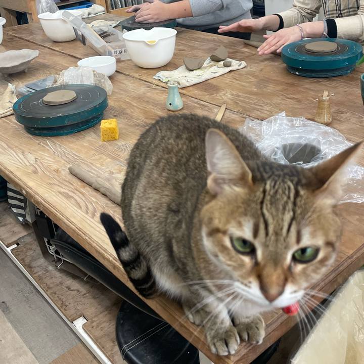 D1828e4a b6ae 4bf0 92c6 39a436c526ba 1739543582372