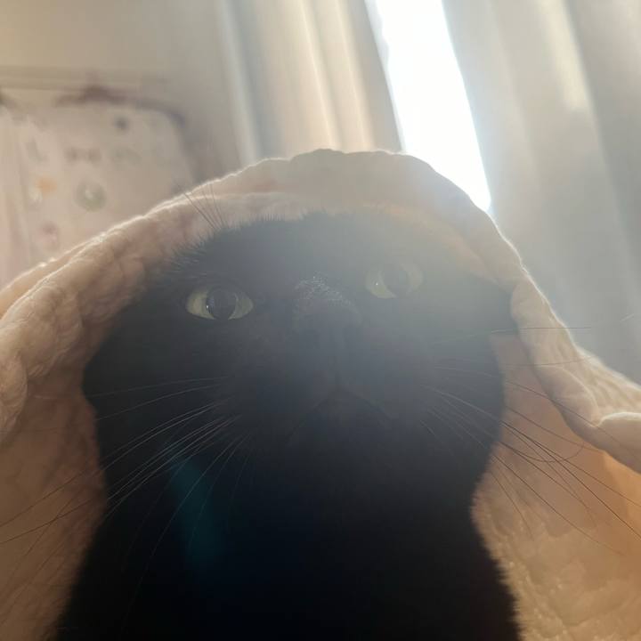 D182f784 30ef 4523 ac7a 0728804b7257 1723418472108