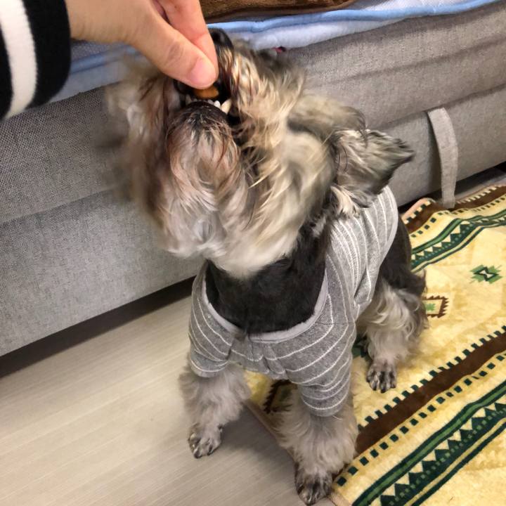 D1831bbe 4877 4516 9187 dcd3ab083570 1619919808390