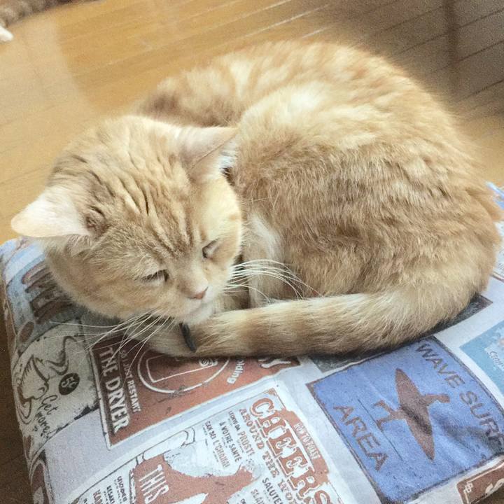 D183db27 1b60 4740 a9c1 2c211397f8b2 1558729809223