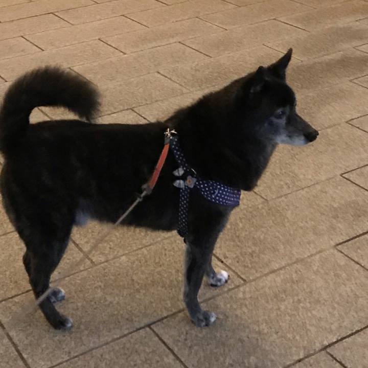 D184193b 9e31 46b5 9329 02f641467860 1573536857673