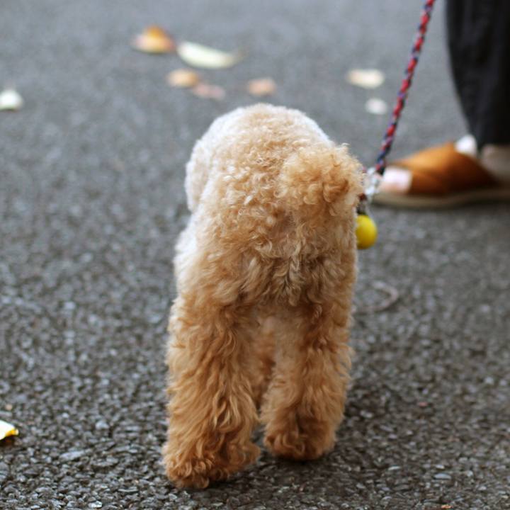 D1842fb2 6984 4bfb 9d57 c9ef158e718e 1602590164530