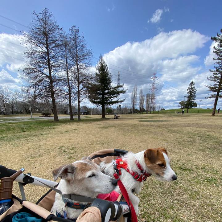 D1843593 04ad 4f33 b92a 42726733c86f 1647834112107