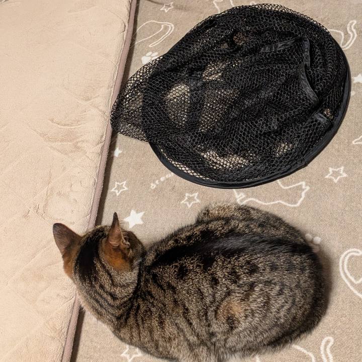 D18438b6 baf8 4645 a280 357e2989b341 1737294915692