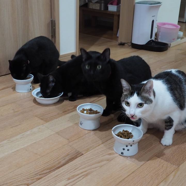 D18440c1 36d8 4481 8c5a cdaa0ebea9fd 1541307972449