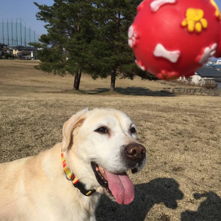 D184432b 7ccd 4d20 b29e 493c28e8d0c9 1522132906537