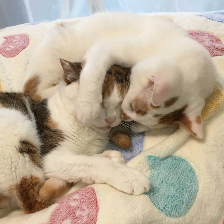 D1844a77 4482 4def 8615 8185e24613cc 1577765651971