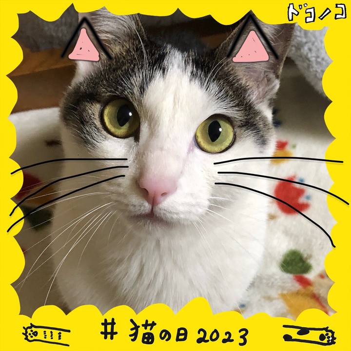 D18459b3 2afe 4119 aa6f 29cc80c36dfd 1677060229720