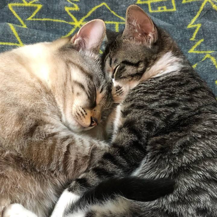 D18469d4 b52a 4303 82f5 0c48e79110d2 1641895534284