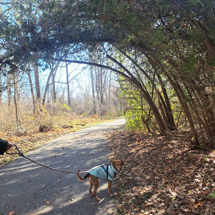 D18485c2 d9ff 43ea 9cc4 27f976c7a684 1763605812907