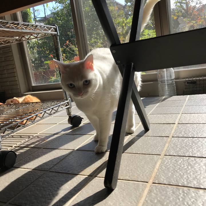 D18489ba 609a 41bc a3a4 4d2a19e2e6e3 1511064447547