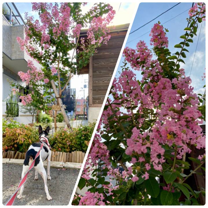 D18496b5 efca 4d08 9dbc adbbf8d9ffa3 1598753240756