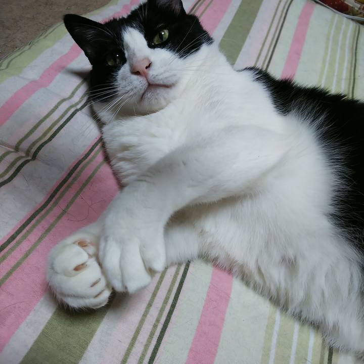 D184a9e0 b8fb 46e9 8d7c 9b0a2ec051ff 1525521565485