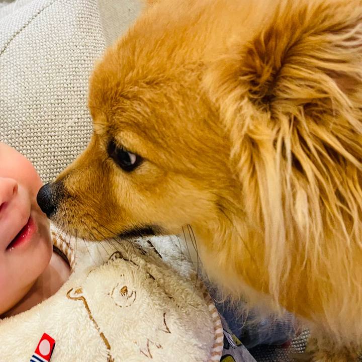 D184ee8e cfff 4851 99c9 57fabe65615c 1678940779059