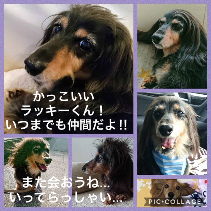 D1850fbf 10d8 4af2 9709 9e650acbaf1d 1564561042023