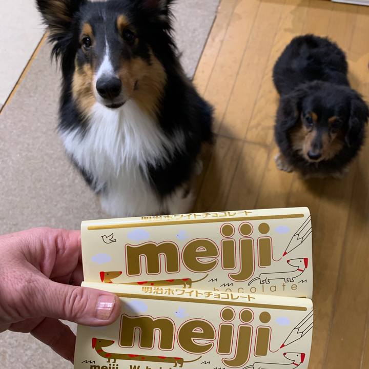 D185255d 0a8e 4416 b37e 73388281322b 1549921610060