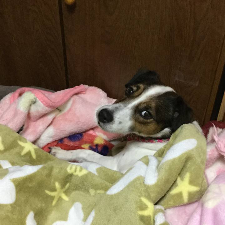 D1852789 6ac1 4ea2 93f9 e271a373a7a8 1514630365246