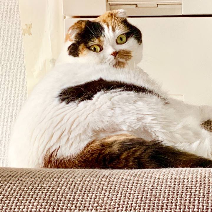 D1853c7f fa2b 4da7 94c1 7d163df9b489 1567030161978