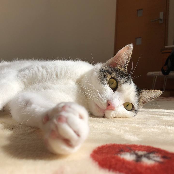 D185a033 d72f 423f afe5 5700fe0a5854 1669947432299