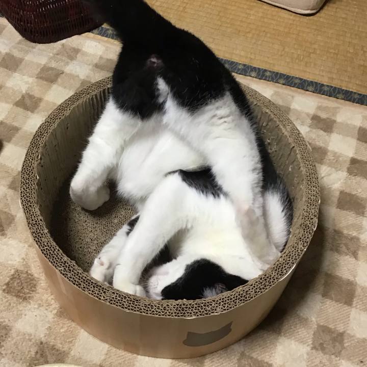 D185a056 9b63 447b bc64 a20520771b70 1729753623847