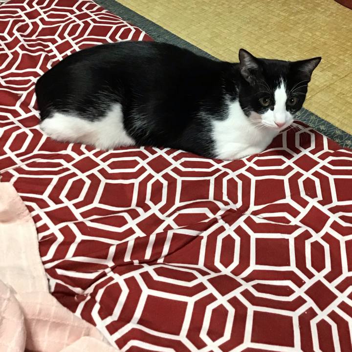 D185b9bc 58c2 4a22 9a11 cf670021caad 1635640306947